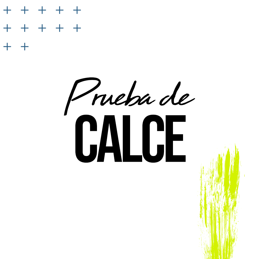 Lee más sobre el artículo Calce