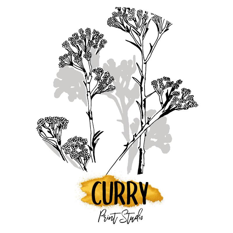 Logo-o-Perfil-Curry